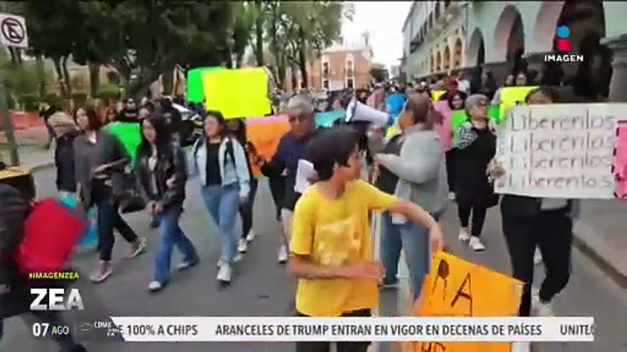 Exigen aparición de 14 perritos callejeros detenidos en Tlaxcala | Noticias con Francisco Zea