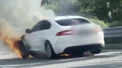 전북 전주 교차로에서 차량 화재...승용차 1대 전소 / YTN