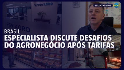 Especialista discute desafios para o agronegócio brasileiro após tarifas de Trump