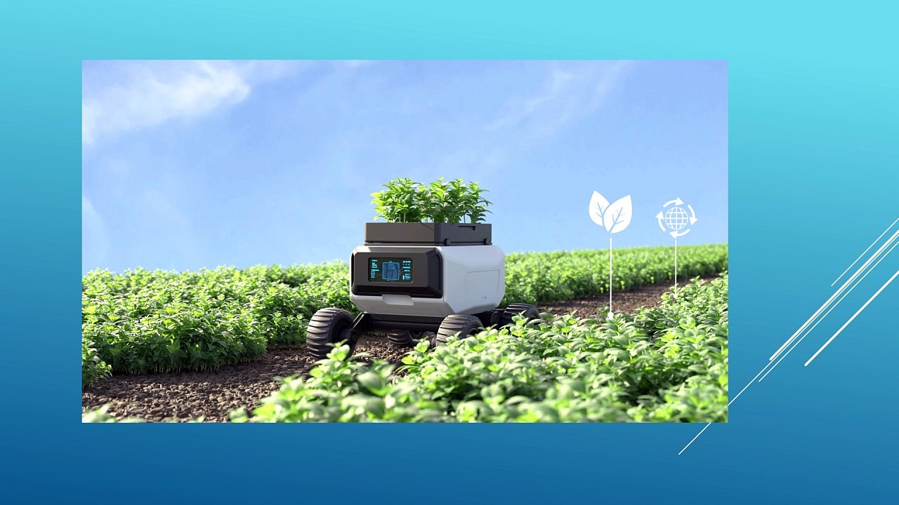 Driving Agricultural Growth in India with Hopper Bottom Silos