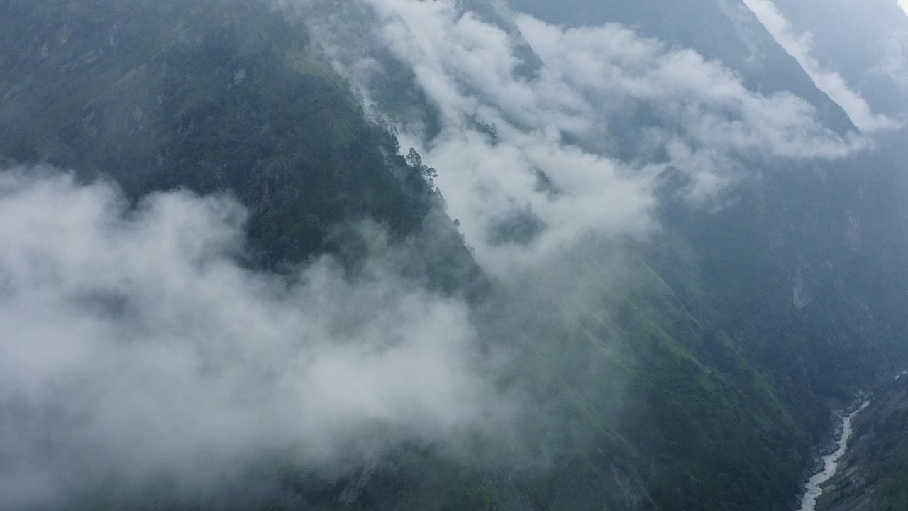 Collection Reportages