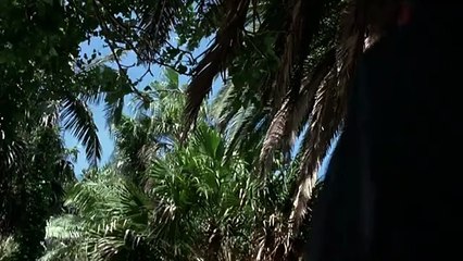 Poważne obrażenia _ Cały Film _ Thriller, Kryminał _ Lektor PL