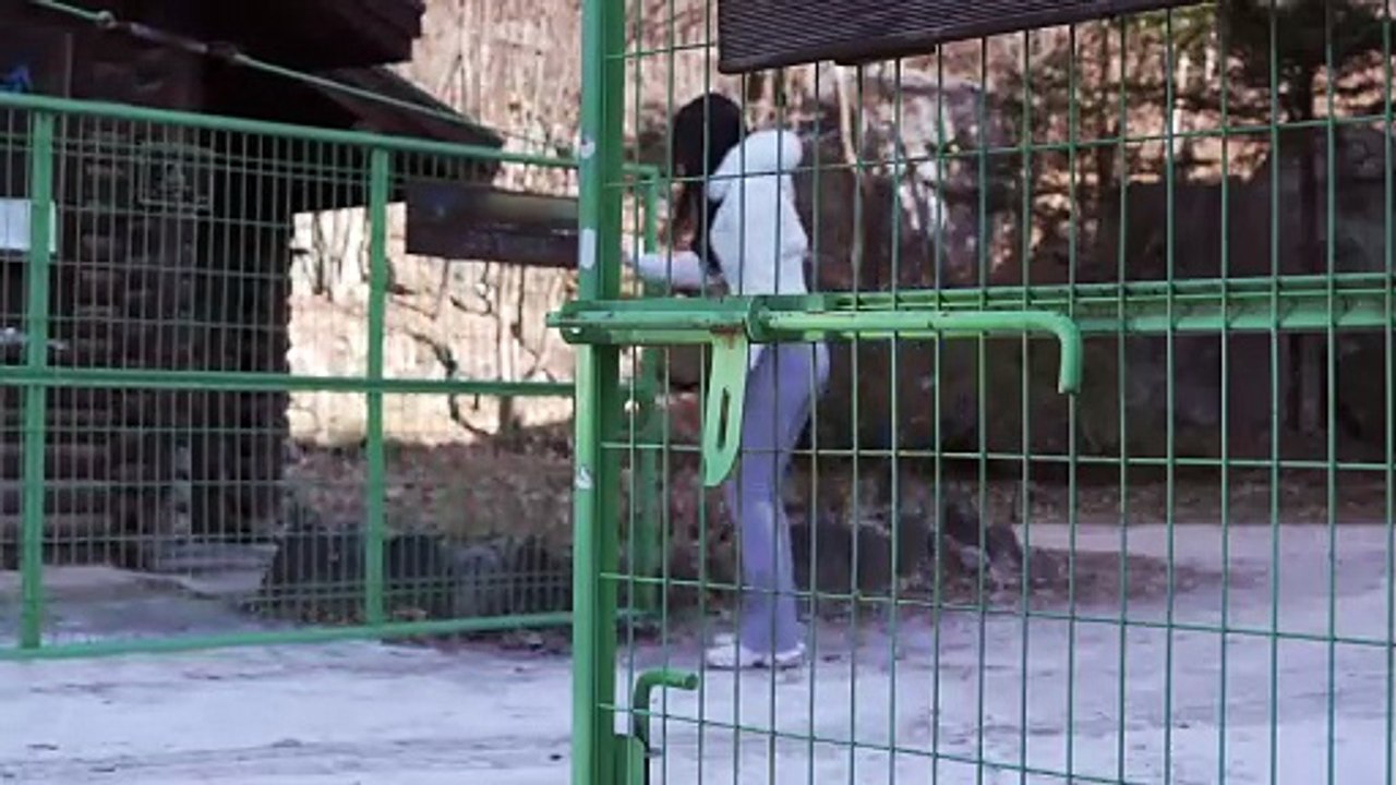 -10°C❄, Giant Tipi Tent CAMPING in Frozen Snow with Extreme Cold  Solo  Camp ASMR - Kirin Camp (720p, h264)