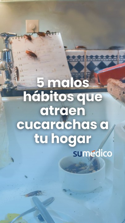 5 malos hábitos que atraen cucarachas a tu casa