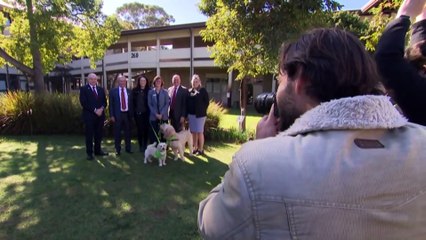 WA’s only vet school receives $100 million donation