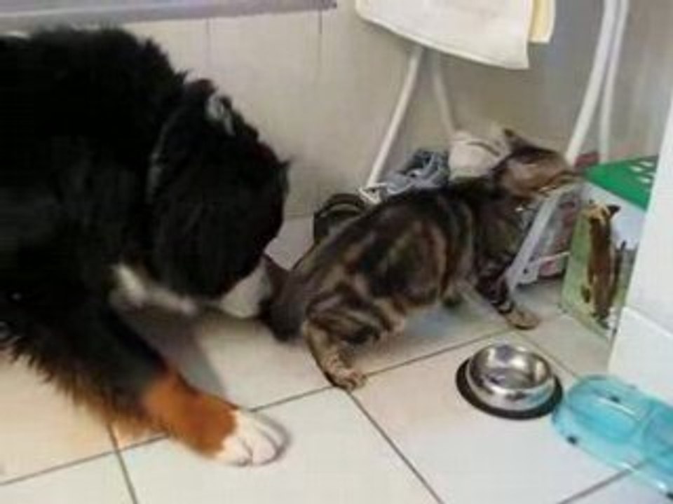 Bouba & Chopin