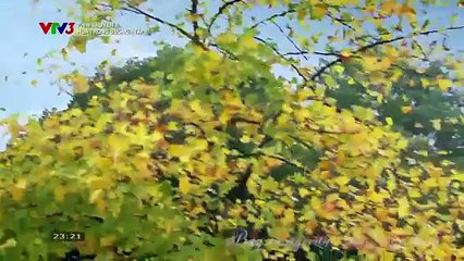 VTV3 | Tomorrow program introduction | Friday, 8 August 2025