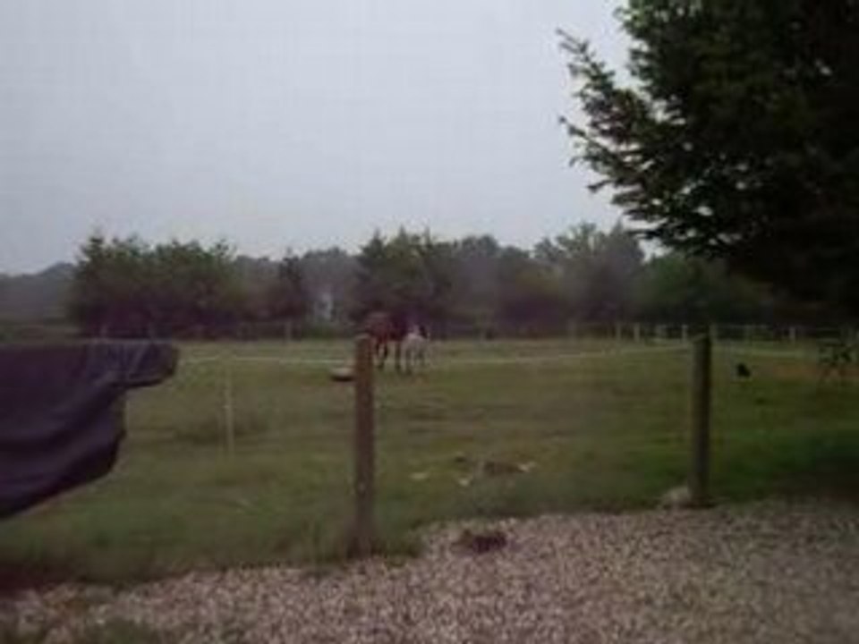 IMGP2641