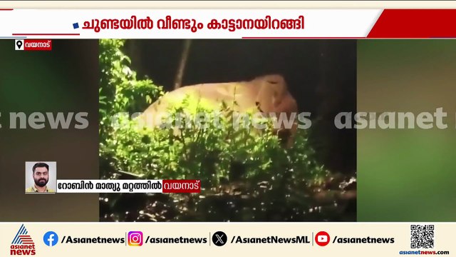 വയനാട് ജനവാസ മേഖലയിൽ കാട്ടാനയുടെ പരാക്രമം, വീടിൻ്റെ മതിലും ഗേറ്റും തകർത്തു