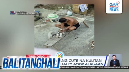 Tatay, huli-cam ang cute na kulitan sa mga tuta na dati'y ayaw alagaan | Balitanghali