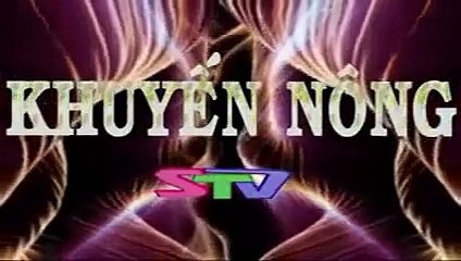 Bộ Nhận Diện,Hình Hiệu: STV [2012,không chính thức] (bản FULL)