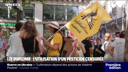Loi Duplomb: le Conseil constitutionnel censure la réintroduction de l'acétamipride