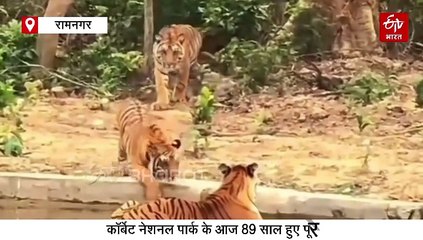 89 साल का हुआ देश का पहला नेशनल पार्क, बाघों का मुफीद आशियाना है कॉर्बेट, जैव विविधता की है भरमार