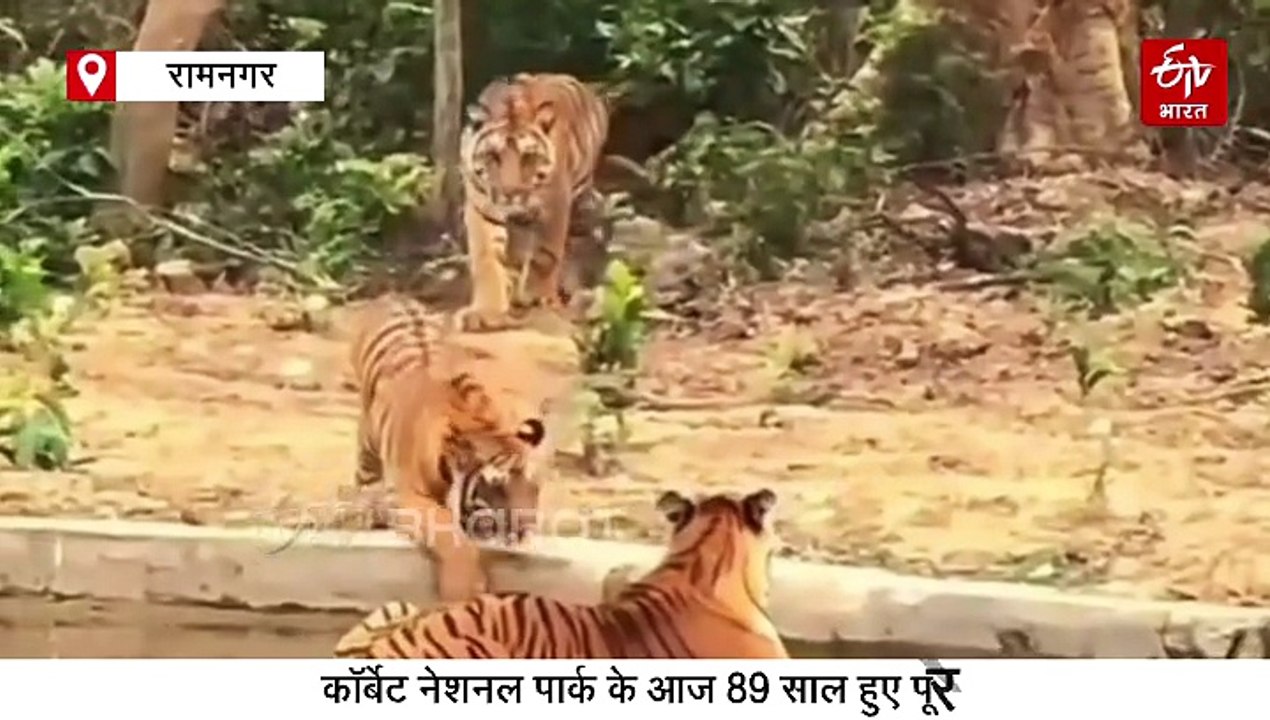 89 साल का हुआ देश का पहला नेशनल पार्क, बाघों का मुफीद आशियाना है कॉर्बेट, जैव विविधता की है भरमार