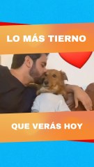 Esto es el abrazo más tierno