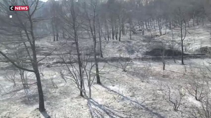 Incendie meurtrier dans l'Aude : le feu est «fixé» d'après la préfecture