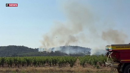 Incendie dans l'Aude : pourquoi le feu s'est-il propagé si vite ?
