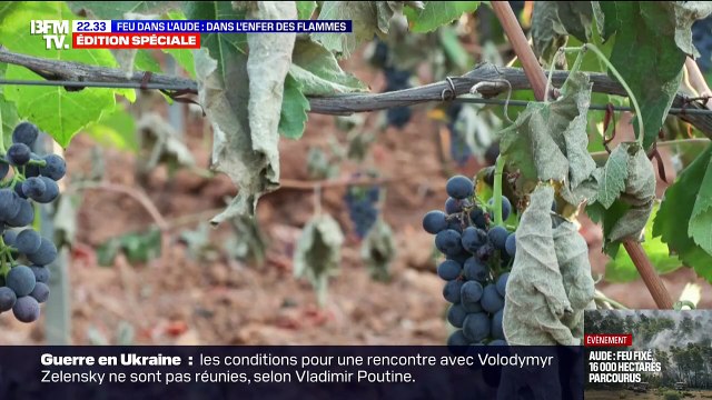 Incendie dans l'Aude : Retour sur le combat des pompiers au plus près du feu qui ont lutté non stop pendant des dizaines d'heures