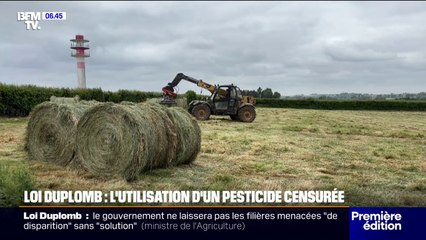 Après la censure partielle de la loi Duplomb, le monde agricole est divisé