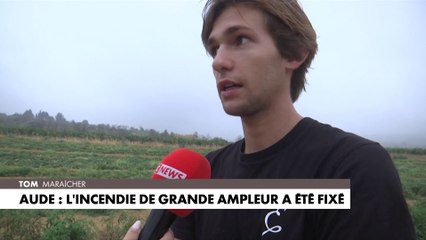 Incendie dans l'Aude : On va jeter «entre deux et trois tonnes de tomates», témoigne un maraîcher