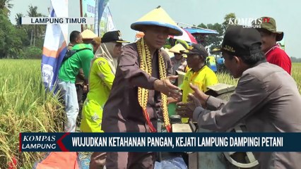 Wujudkan Ketahanan Pangan, Kejati Lampung Dampingi Petani