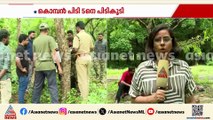 ദൗത്യം പൂർത്തിയായി; PT 5ന്റെ ചികിത്സ പൂർത്തിയായ ശേഷം റേഡിയോ കോളർ ഘടിപ്പിച്ച് കാട്ടിലേക്ക് വിടും