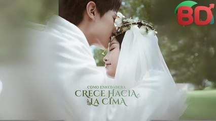 Como Enredadera, Crece Hacia La Cima Cn