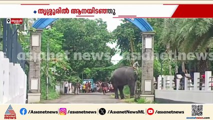 തൃശ്ശൂരിൽ കുളിപ്പിക്കുന്നതിനിടെ ആനയിടഞ്ഞു; ഇടഞ്ഞത് എഴുത്തുപുരക്കൽ ഗംഗ പ്രസാദ്