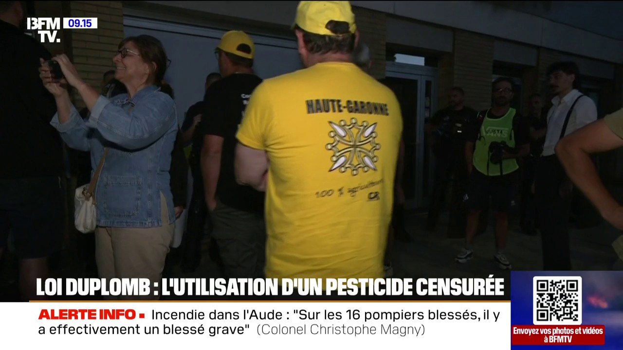 Censure partielle de la loi Duplomb: une décision qui divise
