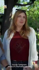 From Ashes To Us Full Hd S Shorts