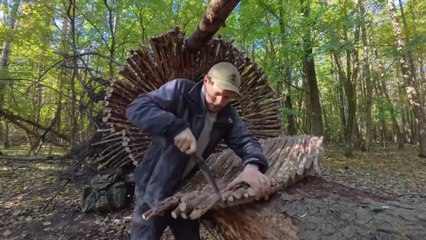 Transforming a Giant Fallen Tree into a Cozy Jungle Home Day 2 😨