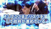 【北野裕子】外国産太陽光パネルを日本の至る所に設置され日本が崩壊のされていく【環境委員会】