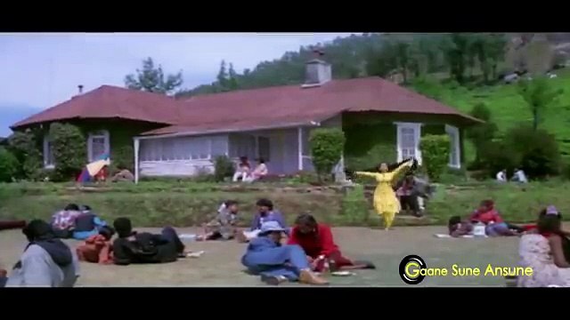 Main Isse Mohabbat Karta Hoon / Yeh Majhdhaar 1996/ Alka Yagnik, Udit Narayan