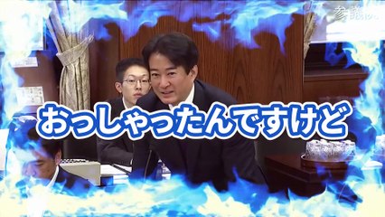【柳ヶ瀬裕文】外国人労働ビザ職業バス・タクシーに日本語能力の緩和を検討に危機【外交防衛委員会】
