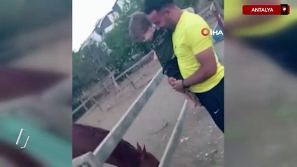 Antalya'da at, babasının kucağındaki çocuğu ısırarak alıp havaya fırlattı