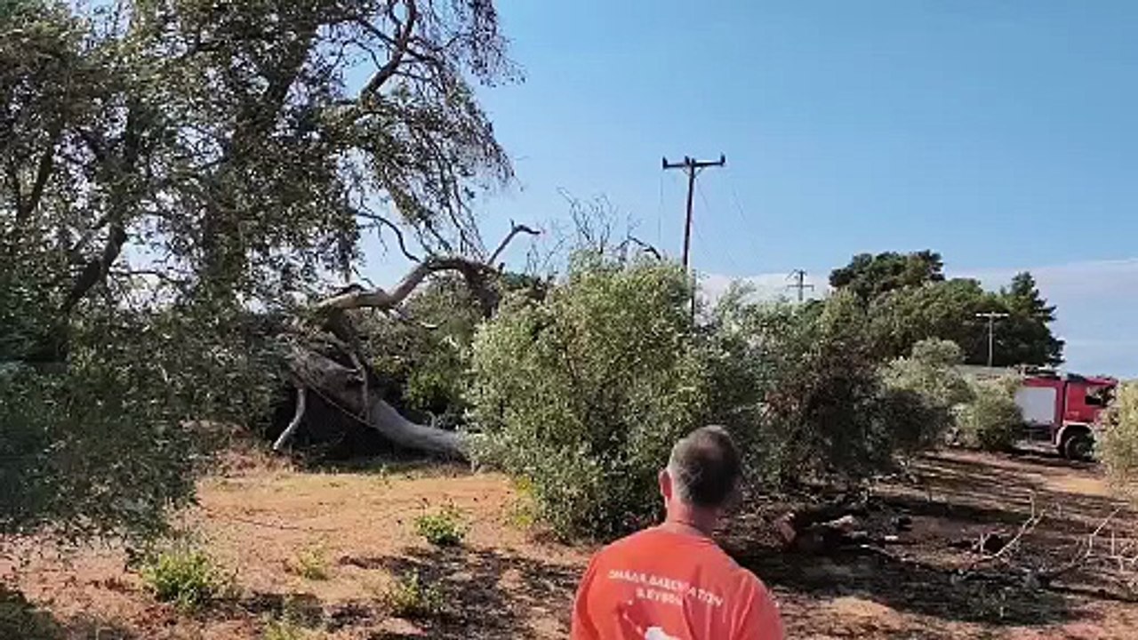 Δασεργάτες και Πυροσβεστική πρόλαβαν φωτιά στην...