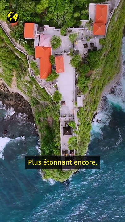 À Bali les macaques perfectionnent l’art du troc