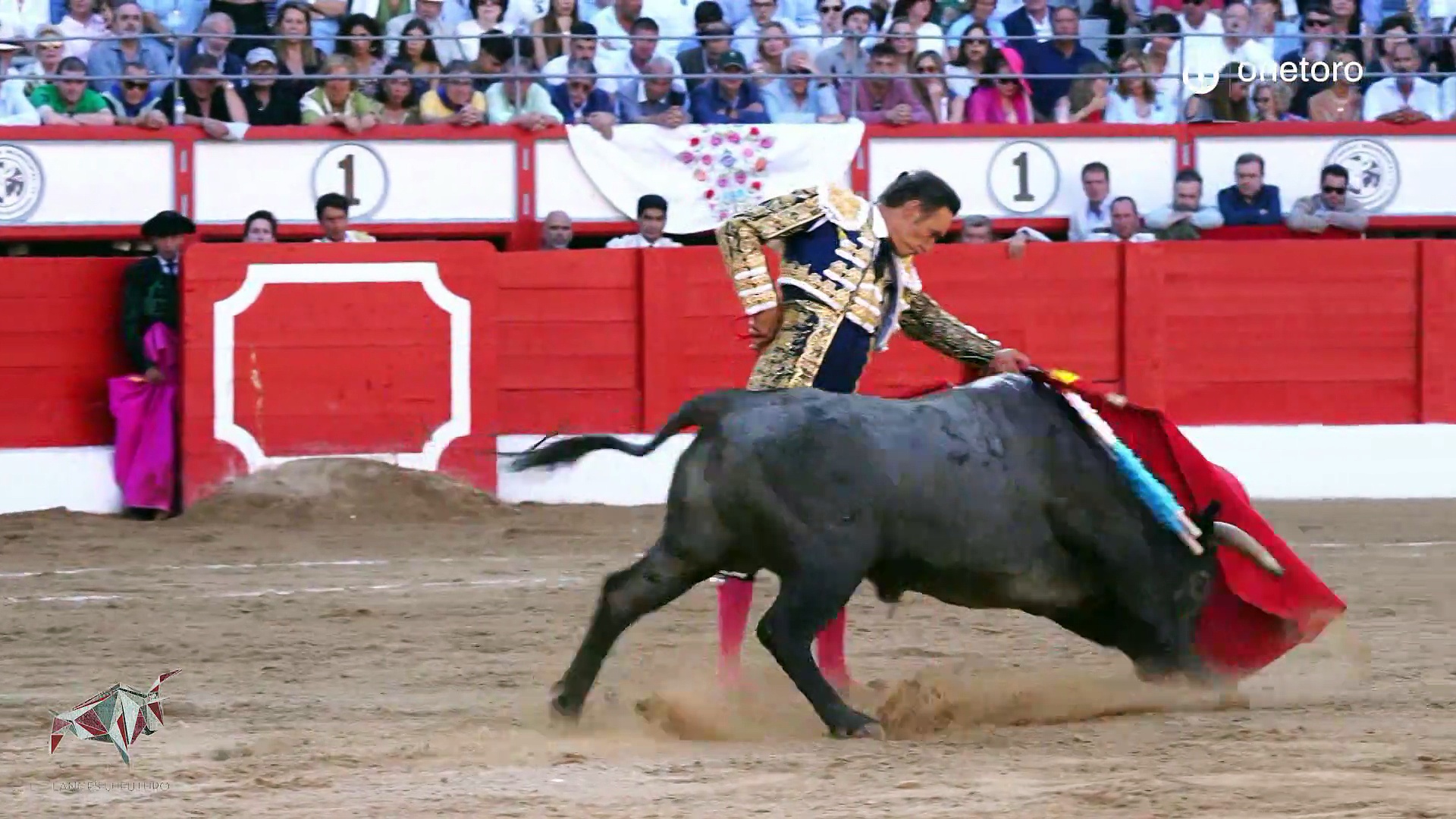Festejos de verano:  Íscar, Circuito de Novilladas de CyL, Tudela, Estella, Santander, Huelva, Azpeitia y el Puerto de Santa María