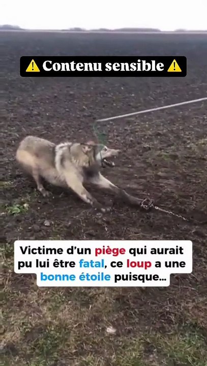 Ces héros du quotidien 💚