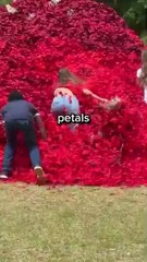 Find_This_Key,_Win_$10,000___2160(360p)