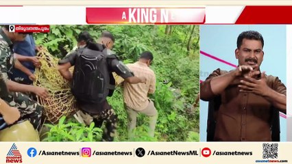 അമ്പൂരിയിൽ കാട്ടുവള്ളികൾക്കിടയിൽ പുലി കുടുങ്ങി; പുലിയെ നെയ്യാറിലെ കേന്ദ്രത്തിലേക്ക് മാറ്റി