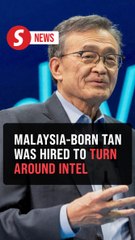 Intel CEO says he is working with US administration after Trump demands resignation