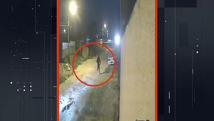 100 VIDEO LADRONES ROBAN CABALLOS T- 53 SEGU