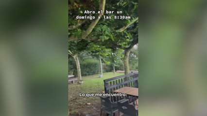 Lo que se encuentra el dueño de un bar en un árbol es digno de ver: No es ni un koala ni un hurón