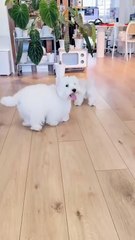 Learn it in one go! Learn tour skills without a teacher, beyond your imagination