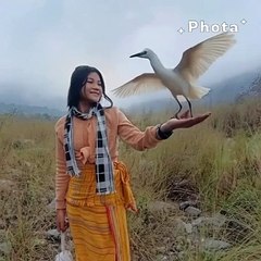 Nice short video
