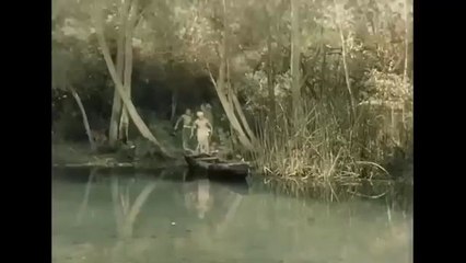 Trending view : The Jungle princess part 1