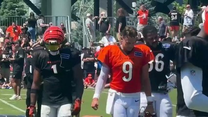 Cincinnati Bengals Training Camp Update with Injury News
