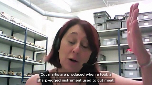 'Extreme exploitation': Spanish archaeologists find signs of war cannibalism from 5,700 years ago