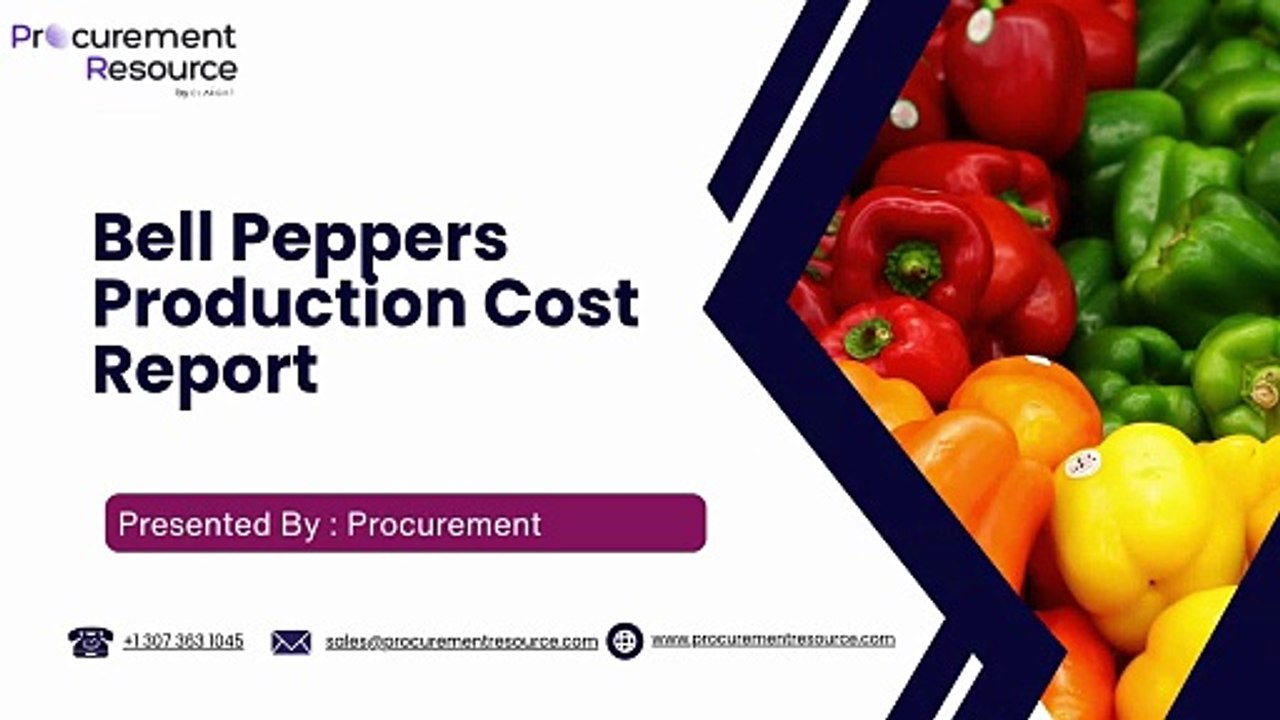 Bell Pepper Production Cost Analysis Report